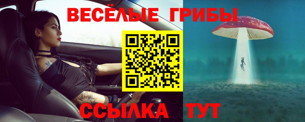Псилоцибиновые грибы мухоморы Смоленск